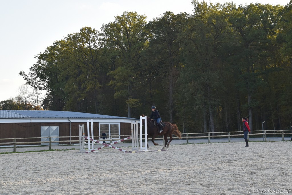D56_3537.JPG