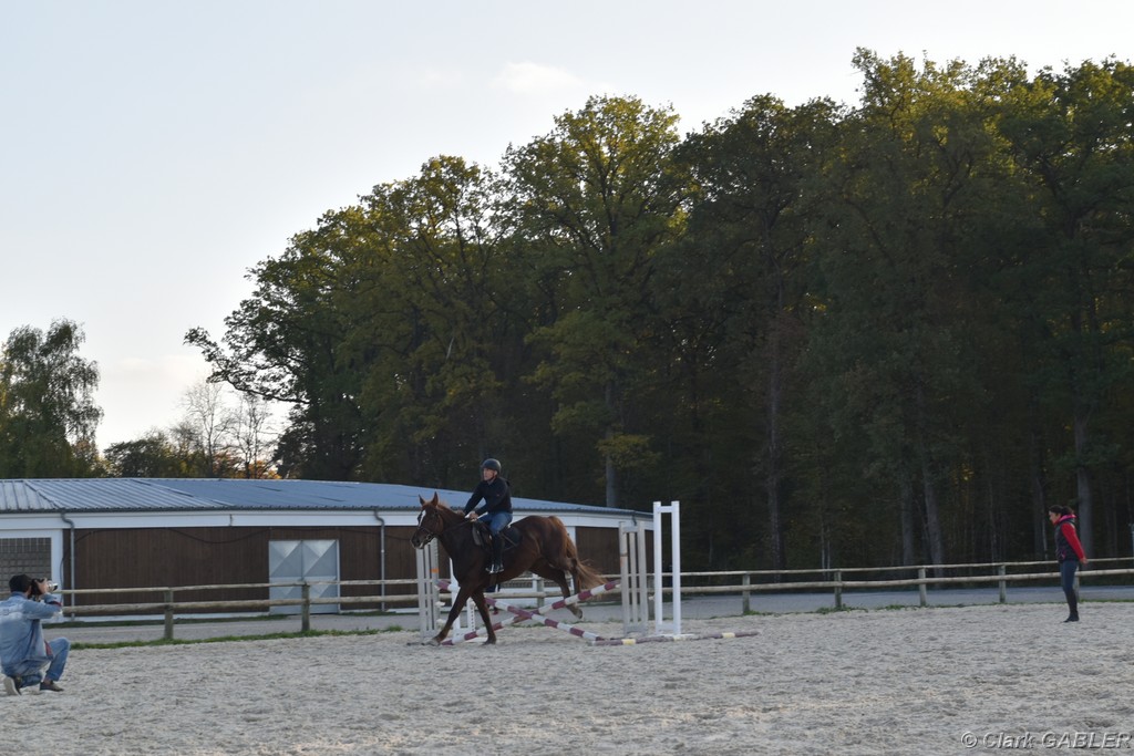 D56_3538.JPG