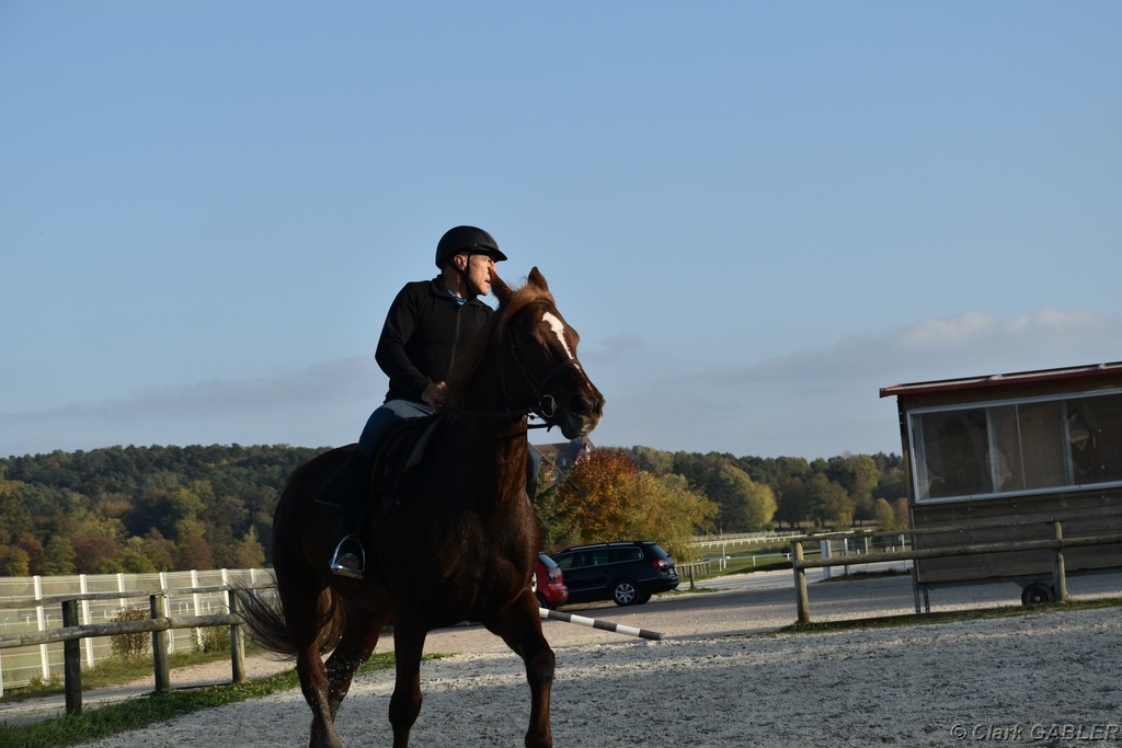 D56_3539.JPG