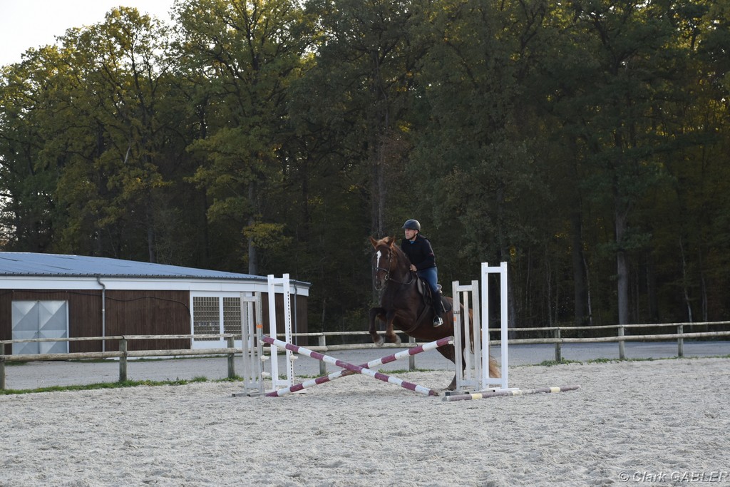 D56_3540.JPG