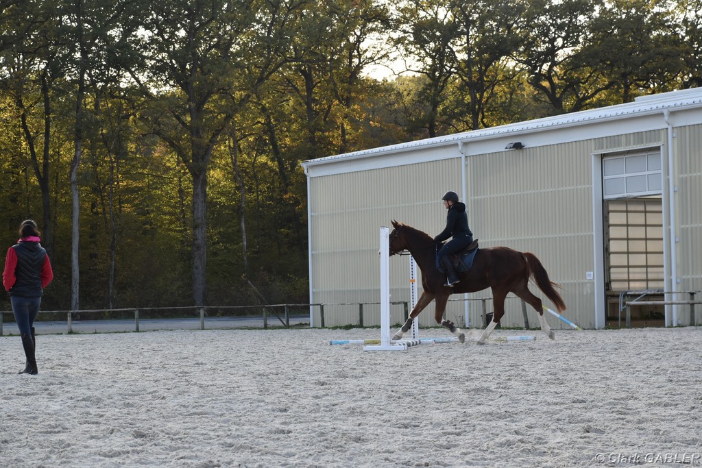 D56_3541.JPG