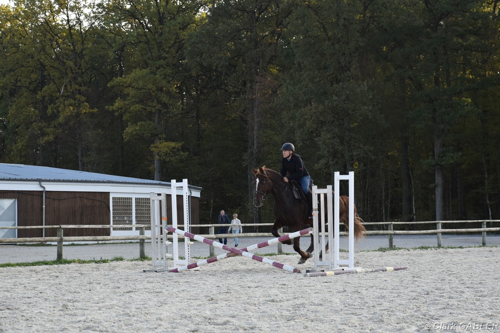 D56_3542.JPG
