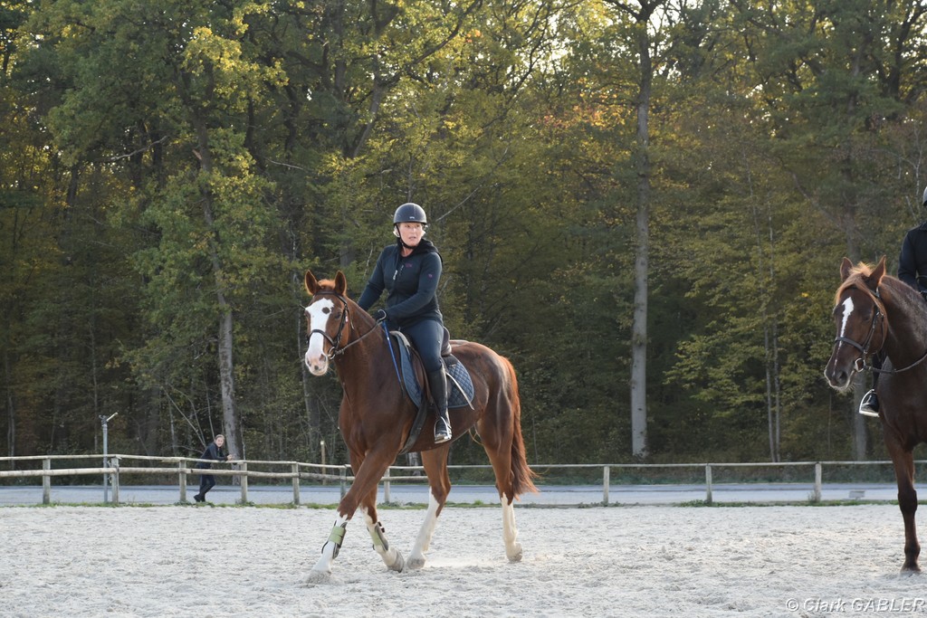D56_3543.JPG