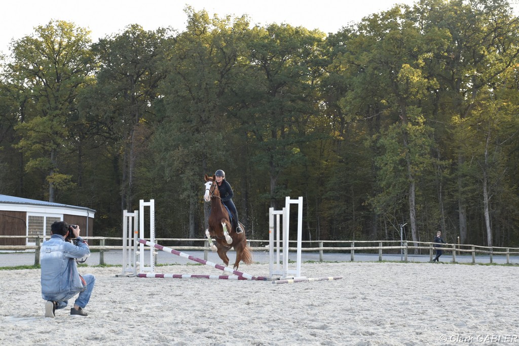 D56_3546.JPG