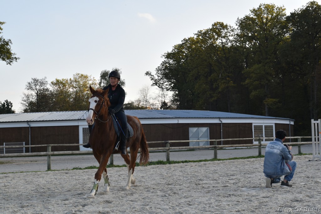 D56_3547.JPG