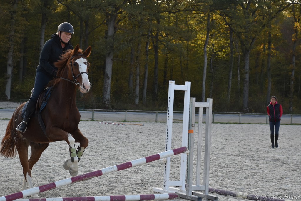 D56_3553.JPG