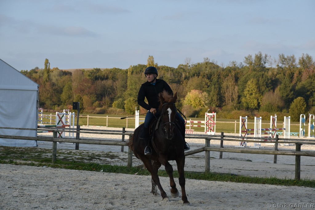 D56_3554.JPG