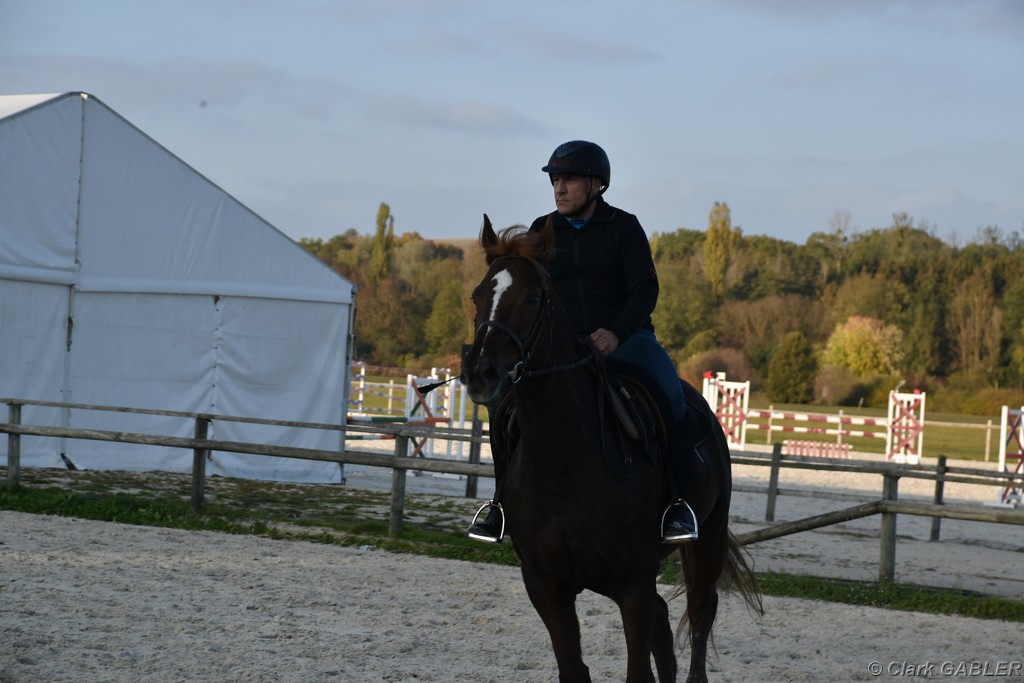 D56_3555.JPG