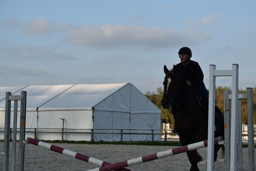 D56_3556.JPG