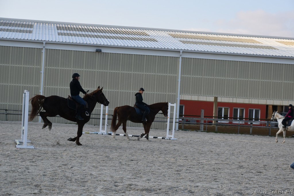 D56_3557.JPG