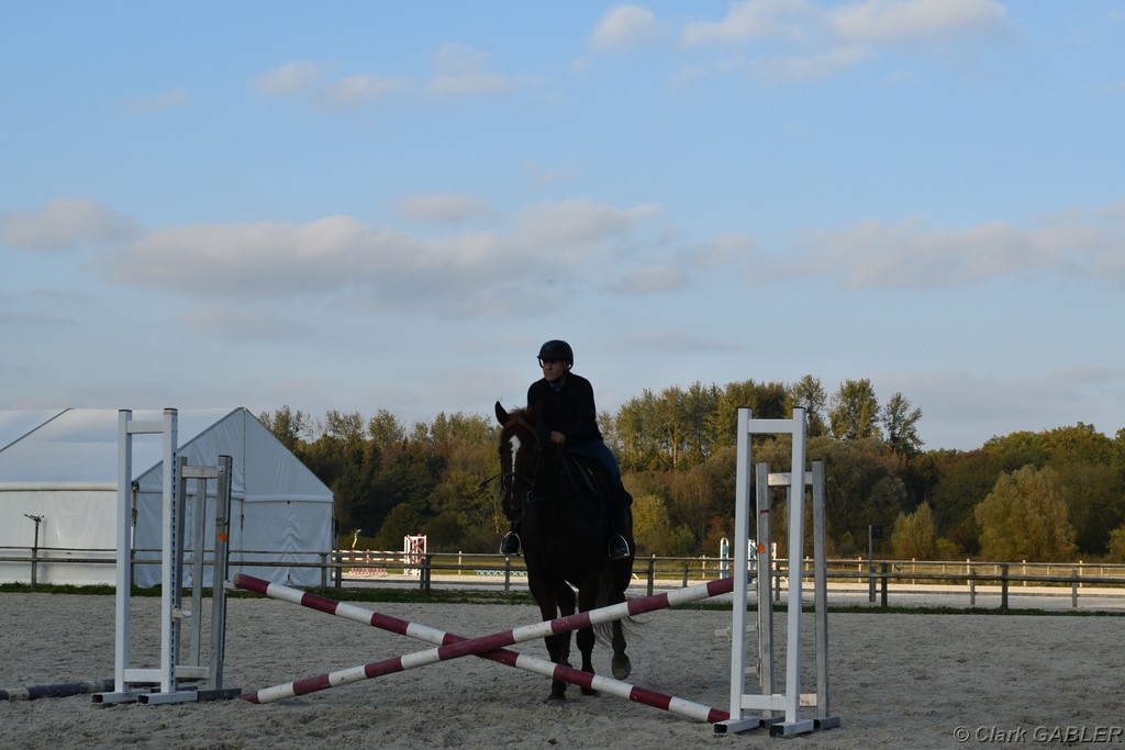 D56_3558.JPG