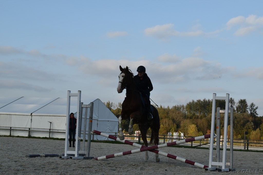 D56_3560.JPG