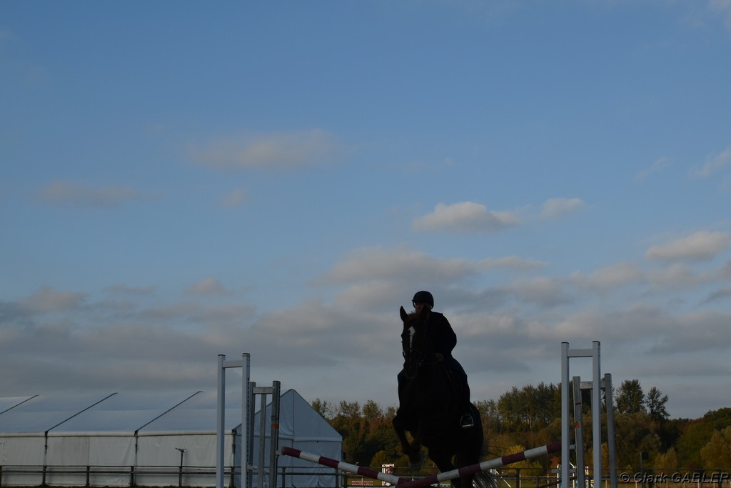 D56_3562.JPG
