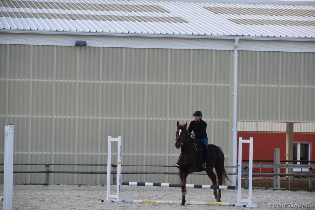 D56_3564.JPG