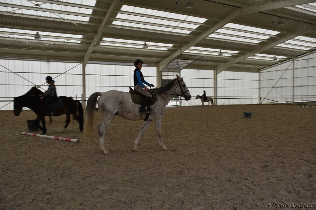 D56_3613.JPG
