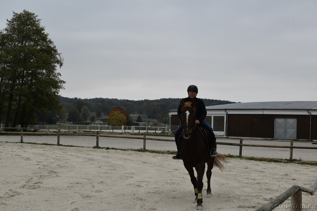 D56_3643.JPG