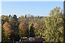 D56_2998.JPG
