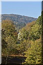 D56_2999.JPG