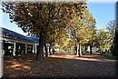 D56_3000.JPG