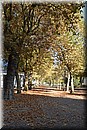 D56_3001.JPG