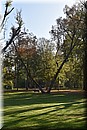 D56_3004.JPG