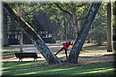 D56_3006.JPG