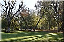 D56_3007.JPG