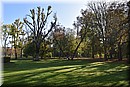 D56_3008.JPG
