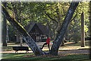 D56_3010.JPG
