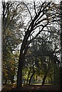 D56_3011.JPG