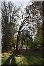 D56_3012.JPG