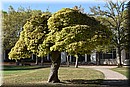 D56_3022.JPG