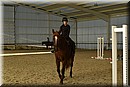 D56_3080.JPG