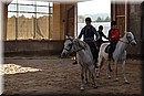 D56_3118.JPG
