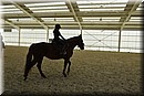 D56_3178.JPG