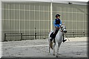 D56_3266.JPG