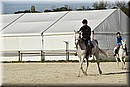 D56_3278.JPG