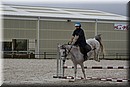 D56_3384.JPG