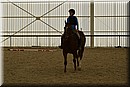 D56_3430.JPG