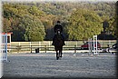 D56_3487.JPG