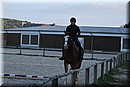 D56_3490.JPG