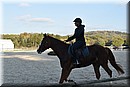 D56_3491.JPG