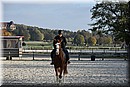 D56_3499.JPG
