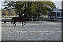 D56_3500.JPG