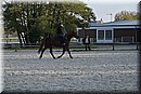 D56_3501.JPG