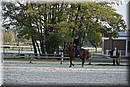D56_3502.JPG