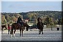 D56_3503.JPG