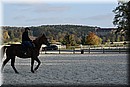 D56_3507.JPG