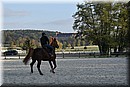 D56_3508.JPG