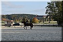 D56_3509.JPG